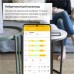 Терморегулятор Terneo RZX для інфрачервоних панелей